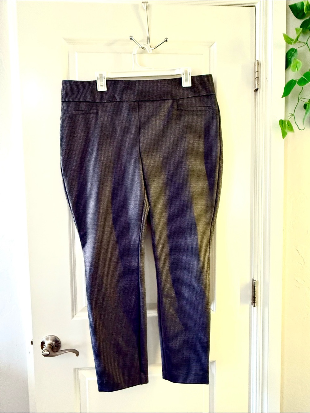 Dalia Dark Charcoal Ponte Cropped Pants